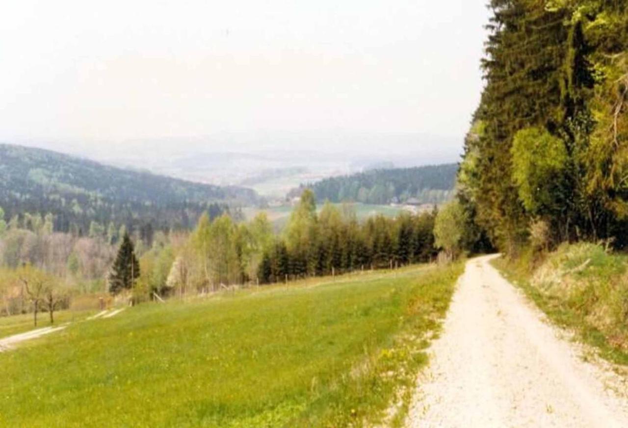 Ferienpension Posthof Waldmünchen Zewnętrze zdjęcie